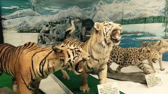 Tsuyama Natural Science History Museum