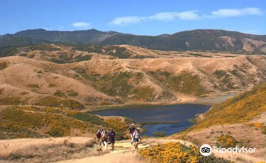 East Harbour Regional Park