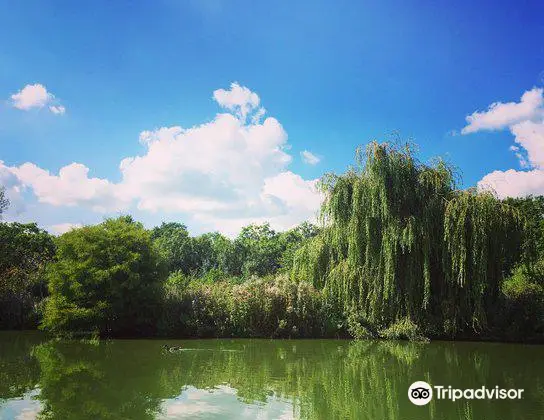 Sumners Ponds Fishery & Campsite