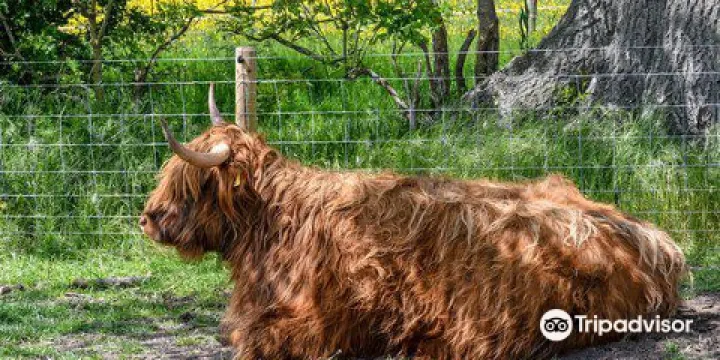 Manor Farm Park & Woodlands