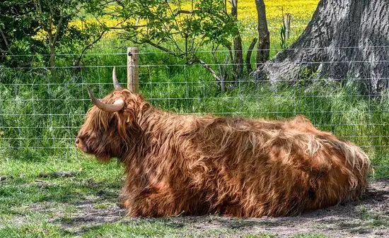 Hotels in Rushcliffe District