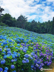 Akasaka Public Park