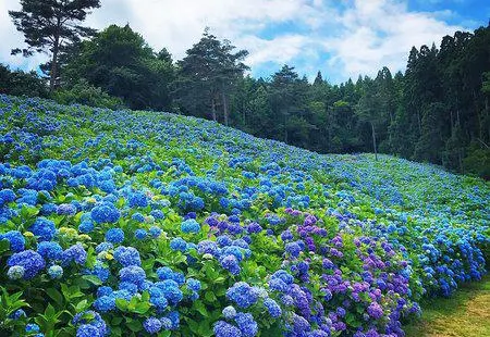 Akasaka Public Park