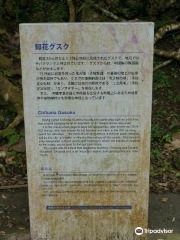 Chibana Castle Ruins