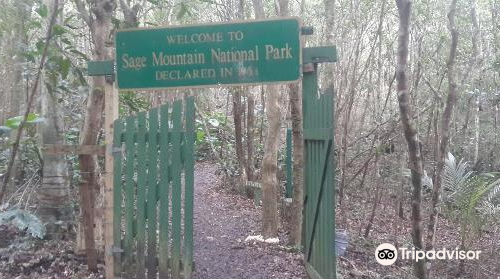 Sage Mountain National Park