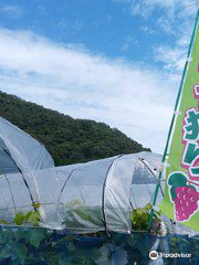 Kubo Fruit Farm