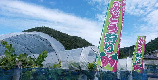 Kubo Fruit Farm