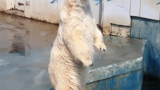 釧路市動物園