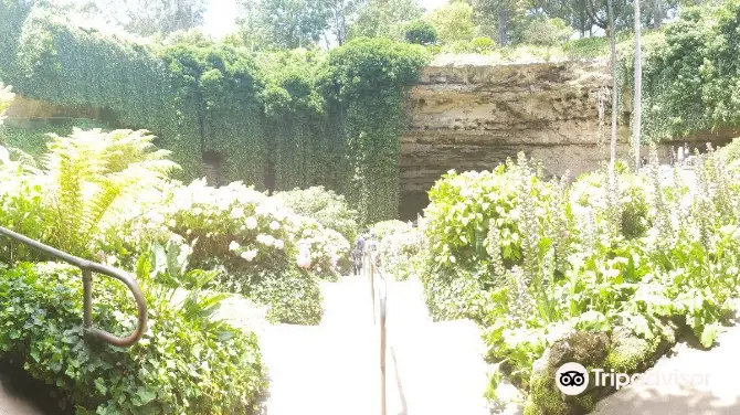 5_洞穴花園