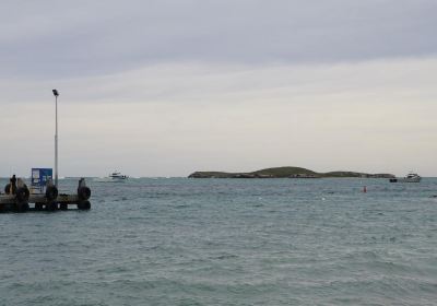 Lancelin Island