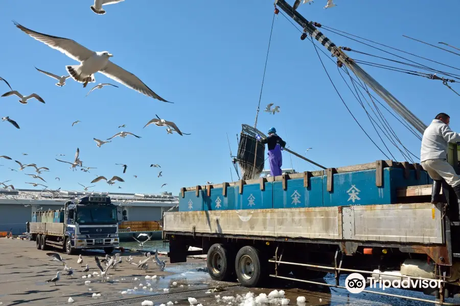 Choshi Fishing Port