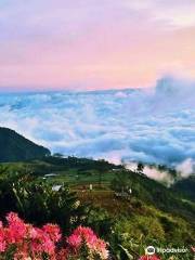 Phu Thap Boek Viewpoint