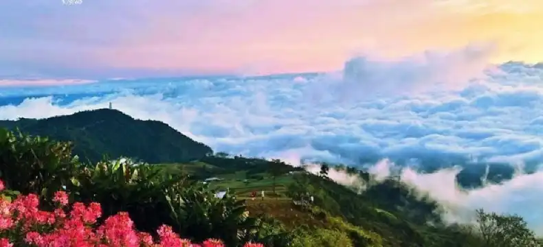 โรงแรมใกล้ภูทับเบิก