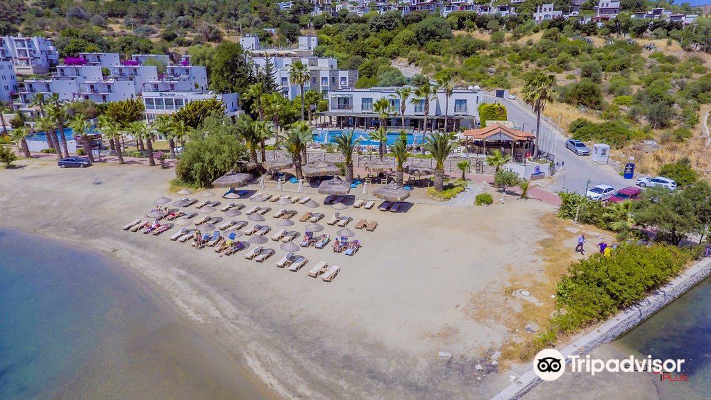 Costa 3S Beach Club Herşey Dahil