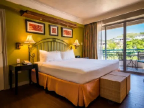 木棉花酒店 西班牙港酒店