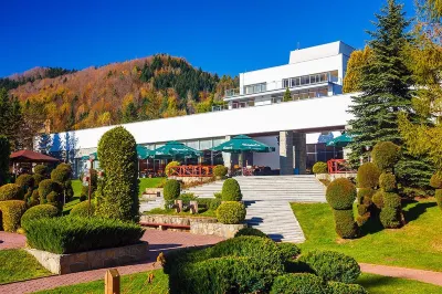 Hotel Perła Południa Hotels in Szczawnica
