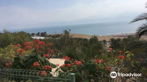 Ein Gedi Botanical Garden