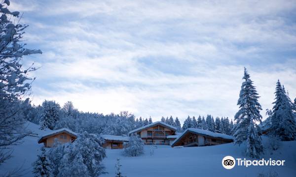 Flocons de Sel hotel - Relais & Châteaux