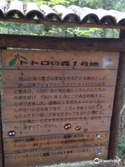 Bosque de Totoro