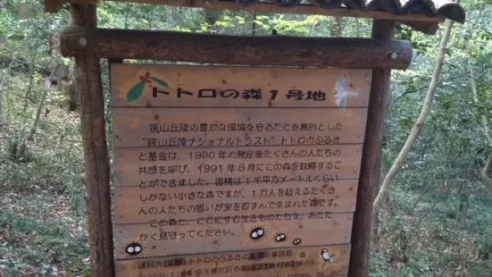 Totoro's Forest no.1
