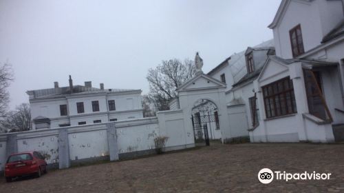 Palace in Teresin
