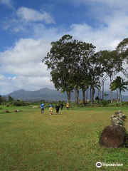 Kukaniloko Birthing Stones