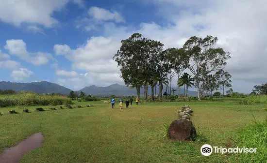 Kukaniloko Birth Stones