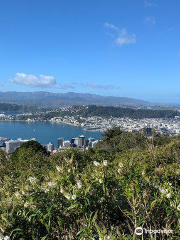 Te Ahumairangi Hill Lookout