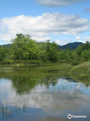 Newfound Lake Region Association