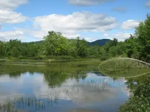 Newfound Lake Region Association