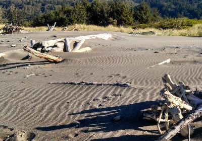 Crissey Field State Park