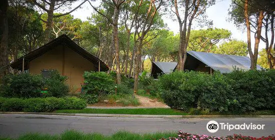 Camping Village Mediterraneo