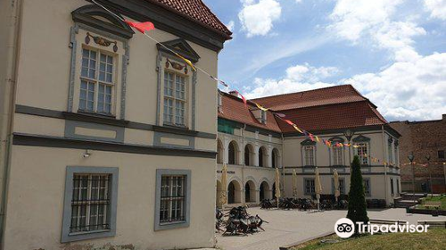 Lithuanian Theatre, Music and Cinema Museum