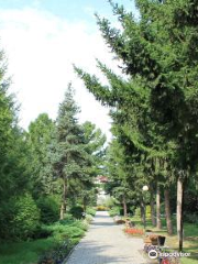 Regional Arboretum