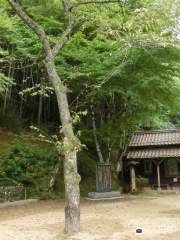 Otome Toge St. Mary's Chapel