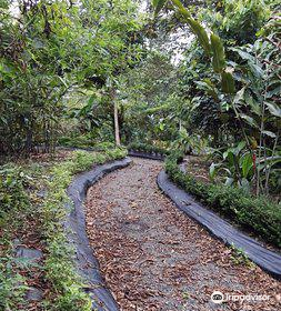 Caribbean Botanical Garden