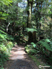 Te Urewera National Park