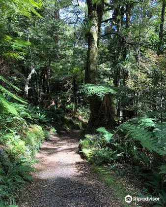 Te Urewera National Park