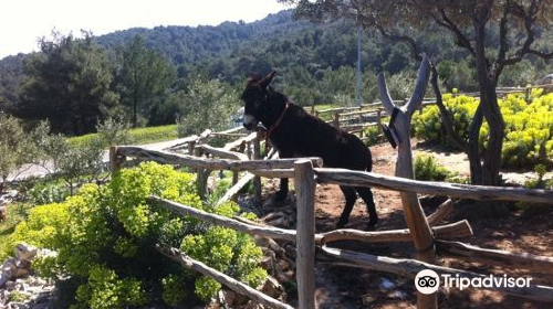 Agrotourism - The Lošinj Aromatic Garden