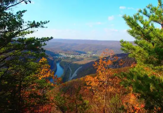 Brown Township