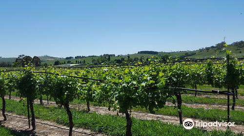 Highland Heritage Cellar Door