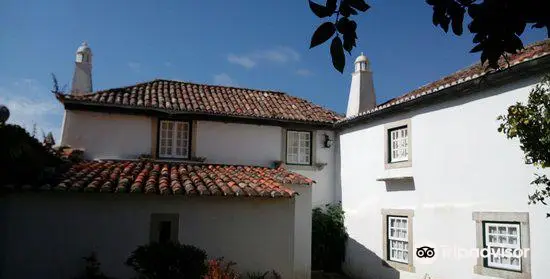 Museu Ferreira De Castro