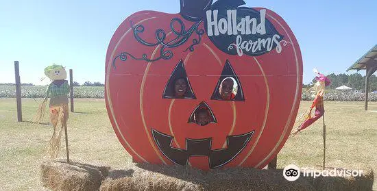 Holland Farms