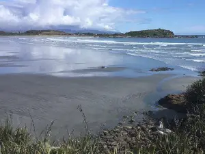 Tauranga Bay Seal Colony