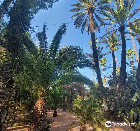 Les Sens de Majorelle