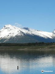 Calafate Fishing