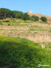 Exotic Gardens of Bouknadel