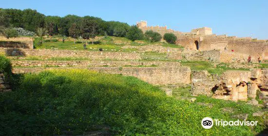 Exotic Gardens of Bouknadel