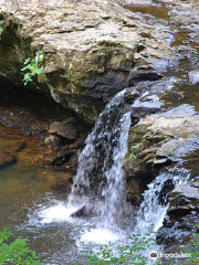 Grundy Forest Natural Area