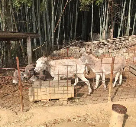 玉野